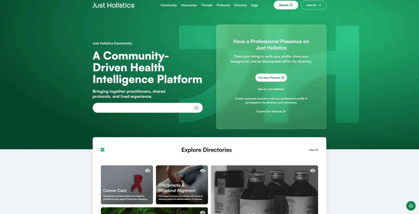 Just Holistics project preview